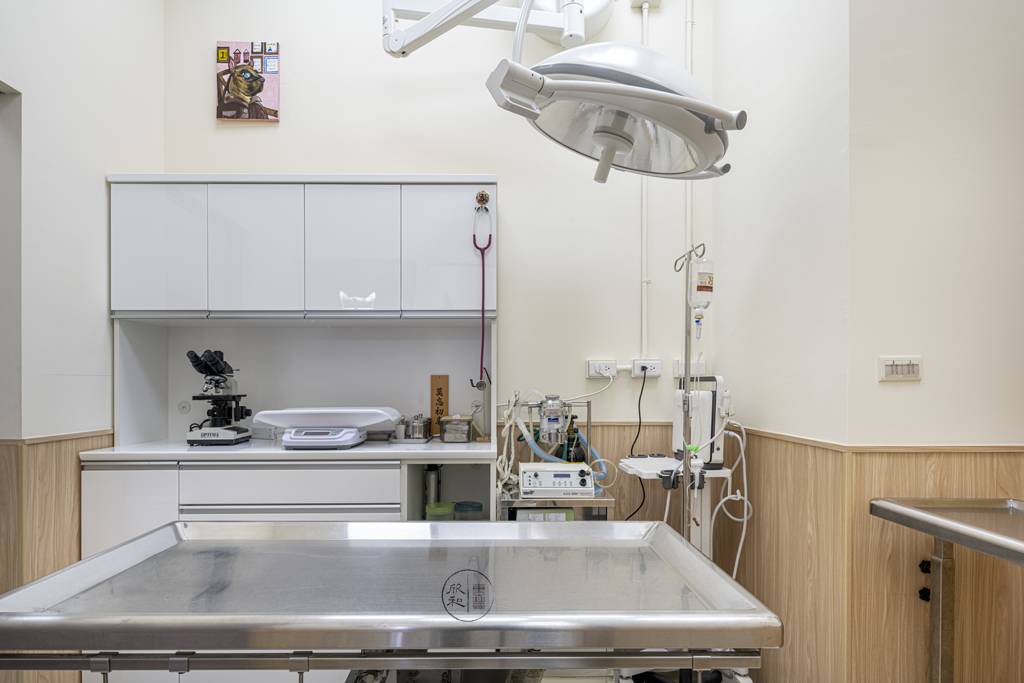 新方伴侶動物醫院